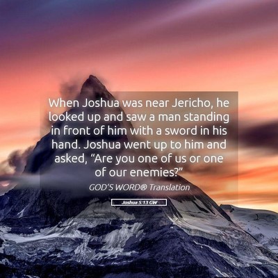 Picture 05 - Joshua 5:13 GW - When Joshua was near Jericho, he looked up and - Bible Verse Picture