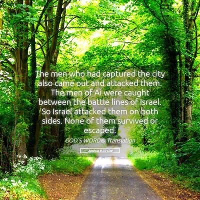 Picture 05 - Joshua 8:22 GW - The men who had captured the city also came out - Bible Verse Picture