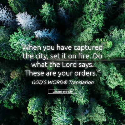Picture 05 - Joshua 8:8 GW - When you have captured the city, set it on fire. - Bible Verse Picture