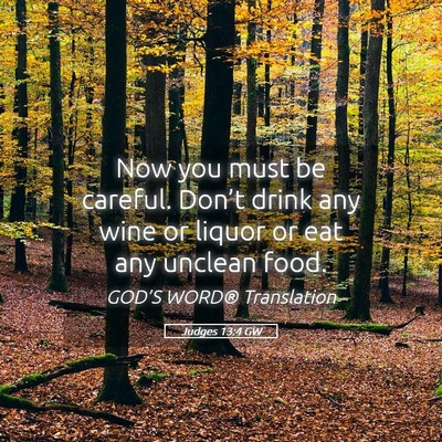 Picture 05 - Judges 13:4 GW - Now you must be careful. Don’t drink any wine - Bible Verse Picture