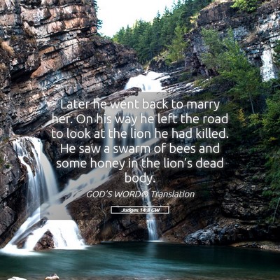 Picture 05 - Judges 14:8 GW - Later he went back to marry her. On his way he - Bible Verse Picture