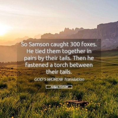 Picture 05 - Judges 15:4 GW - So Samson caught 300 foxes. He tied them together - Bible Verse Picture