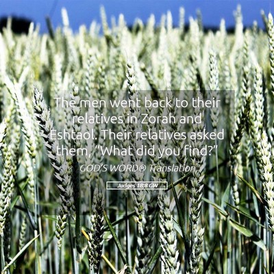 Picture 05 - Judges 18:8 GW - The men went back to their relatives in Zorah and - Bible Verse Picture