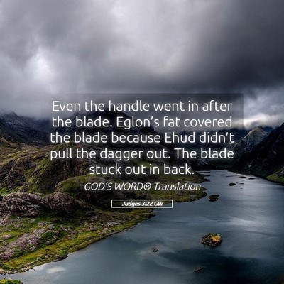 Picture 05 - Judges 3:22 GW - Even the handle went in after the blade. - Bible Verse Picture