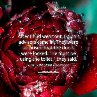 Picture 05 - Judges 3:24 GW - After Ehud went out, Eglon’s advisers came in. - Bible Verse Picture