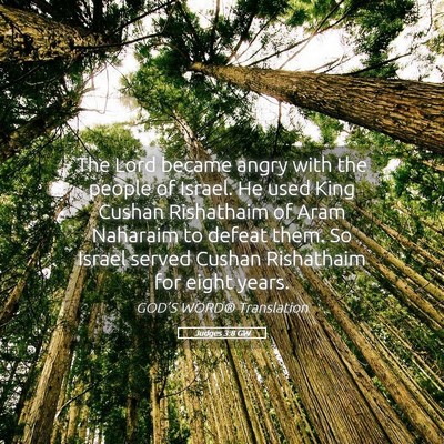 Picture 05 - Judges 3:8 GW - The Lord became angry with the people of Israel. - Bible Verse Picture
