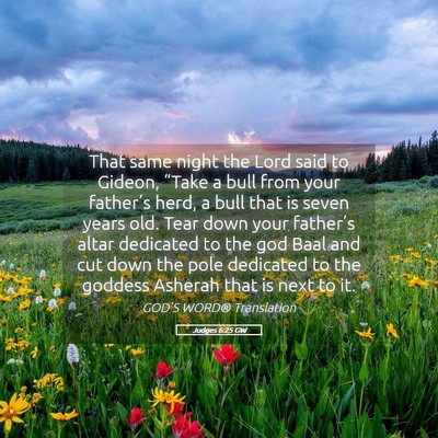 Picture 05 - Judges 6:25 GW - That same night the Lord said to Gideon, “Take - Bible Verse Picture