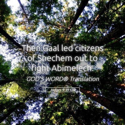 Picture 05 - Judges 9:39 GW - Then Gaal led citizens of Shechem out to fight - Bible Verse Picture