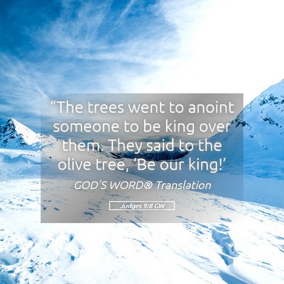 Picture 05 - Judges 9:8 GW - “The trees went to anoint someone to be king - Bible Verse Picture