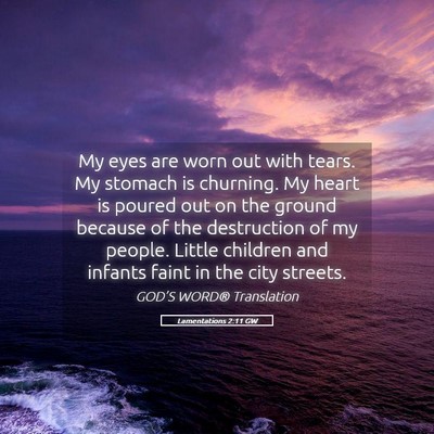Picture 05 - Lamentations 2:11 GW - My eyes are worn out with tears. My stomach is - Bible Verse Picture