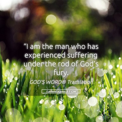 Picture 05 - Lamentations 3:1 GW - “I am the man who has experienced suffering - Bible Verse Picture