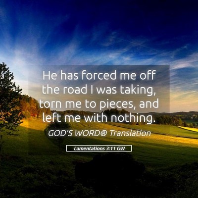 Picture 05 - Lamentations 3:11 GW - He has forced me off the road I was taking, torn - Bible Verse Picture