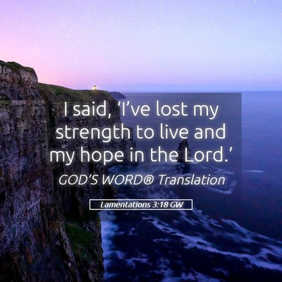 Picture 05 - Lamentations 3:18 GW - I said, ‘I’ve lost my strength to live and my - Bible Verse Picture