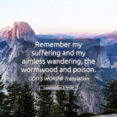 Picture 05 - Lamentations 3:19 GW - Remember my suffering and my aimless wandering, - Bible Verse Picture