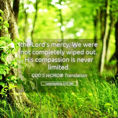 Picture 05 - Lamentations 3:22 GW - the Lord’s mercy. We were not completely wiped - Bible Verse Picture