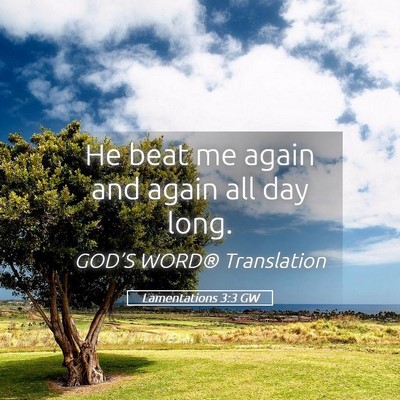 Picture 05 - Lamentations 3:3 GW - He beat me again and again all day - Bible Verse Picture