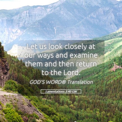 Picture 05 - Lamentations 3:40 GW - Let us look closely at our ways and examine them - Bible Verse Picture