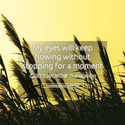 Picture 05 - Lamentations 3:49 GW - My eyes will keep flowing without stopping for a - Bible Verse Picture