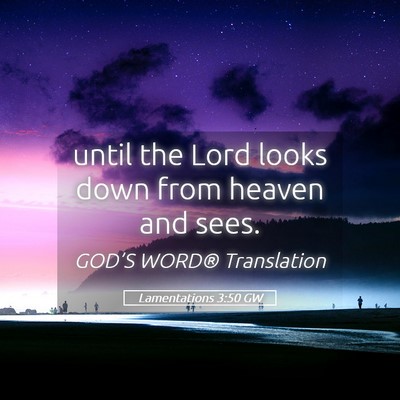 Picture 05 - Lamentations 3:50 GW - until the Lord looks down from heaven and - Bible Verse Picture