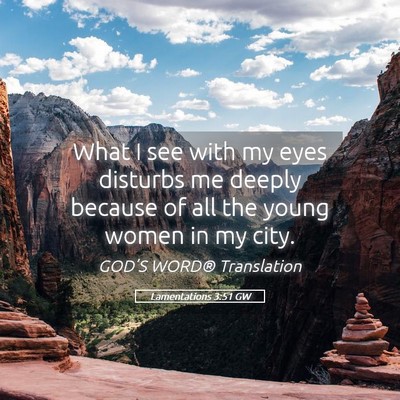 Picture 05 - Lamentations 3:51 GW - What I see with my eyes disturbs me deeply - Bible Verse Picture