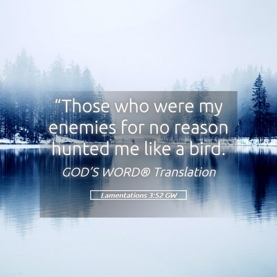 Picture 05 - Lamentations 3:52 GW - “Those who were my enemies for no reason hunted - Bible Verse Picture