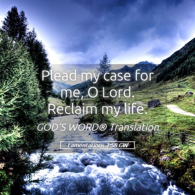 Picture 05 - Lamentations 3:58 GW - Plead my case for me, O Lord. Reclaim my - Bible Verse Picture