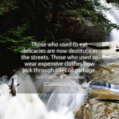Picture 05 - Lamentations 4:5 GW - Those who used to eat delicacies are now - Bible Verse Picture