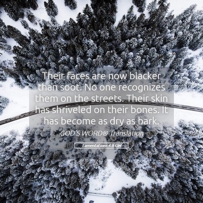 Picture 05 - Lamentations 4:8 GW - Their faces are now blacker than soot. No one - Bible Verse Picture