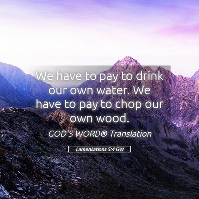 Picture 05 - Lamentations 5:4 GW - We have to pay to drink our own water. We have to - Bible Verse Picture