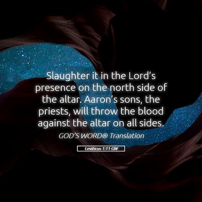 Picture 05 - Leviticus 1:11 GW - Slaughter it in the Lord’s presence on the - Bible Verse Picture