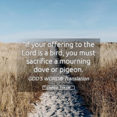 Picture 05 - Leviticus 1:14 GW - “If your offering to the Lord is a bird, you - Bible Verse Picture