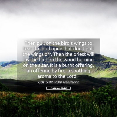 Picture 05 - Leviticus 1:17 GW - Then pull on the bird’s wings to tear the bird - Bible Verse Picture