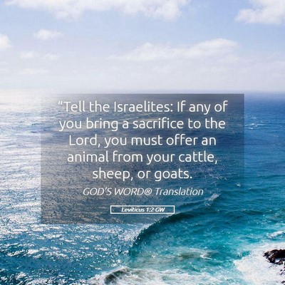Picture 05 - Leviticus 1:2 GW - “Tell the Israelites: If any of you bring a - Bible Verse Picture