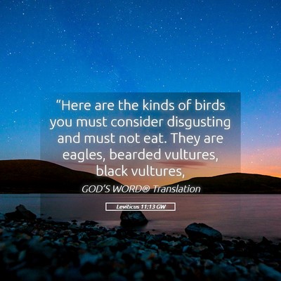 Picture 05 - Leviticus 11:13 GW - “Here are the kinds of birds you must consider - Bible Verse Picture