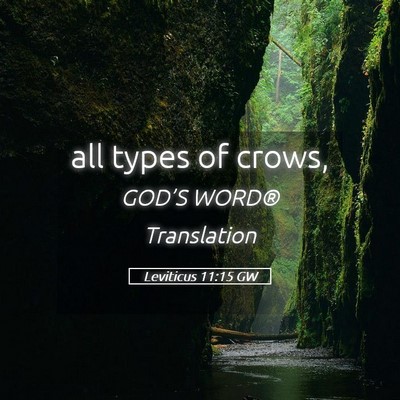 Picture 05 - Leviticus 11:15 GW - all types of - Bible Verse Picture