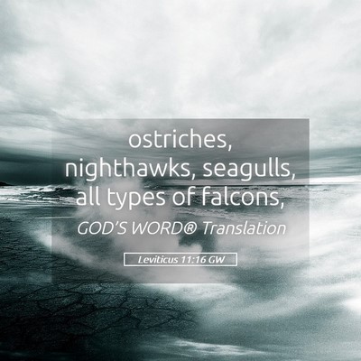 Picture 05 - Leviticus 11:16 GW - ostriches, nighthawks, seagulls, all types of - Bible Verse Picture