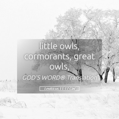 Picture 05 - Leviticus 11:17 GW - little owls, cormorants, great - Bible Verse Picture
