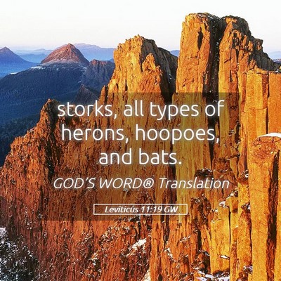 Picture 05 - Leviticus 11:19 GW - storks, all types of herons, hoopoes, and - Bible Verse Picture
