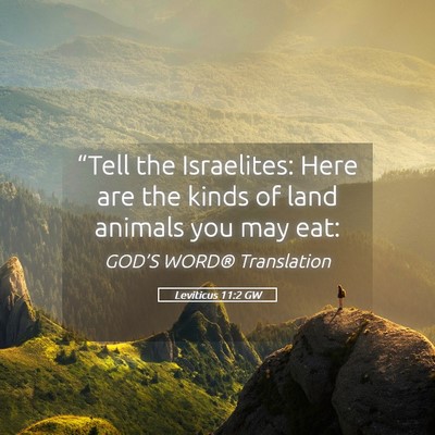 Picture 05 - Leviticus 11:2 GW - “Tell the Israelites: Here are the kinds of - Bible Verse Picture