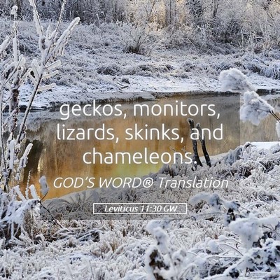 Picture 05 - Leviticus 11:30 GW - geckos, monitors, lizards, skinks, and - Bible Verse Picture