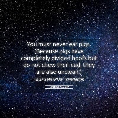 Picture 05 - Leviticus 11:7 GW - You must never eat pigs. (Because pigs have - Bible Verse Picture