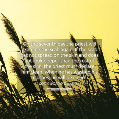 Picture 05 - Leviticus 13:34 GW - On the seventh day the priest will examine the - Bible Verse Picture
