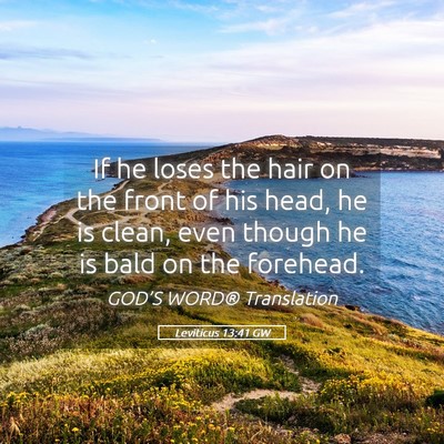 Picture 05 - Leviticus 13:41 GW - If he loses the hair on the front of his head, he - Bible Verse Picture