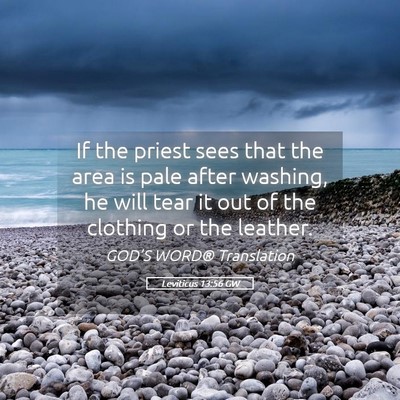 Picture 05 - Leviticus 13:56 GW - If the priest sees that the area is pale after - Bible Verse Picture