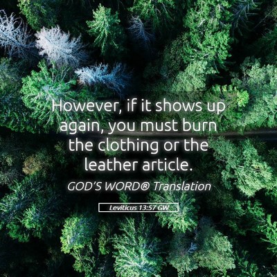 Picture 05 - Leviticus 13:57 GW - However, if it shows up again, you must burn the - Bible Verse Picture