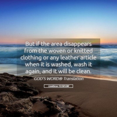 Picture 05 - Leviticus 13:58 GW - But if the area disappears from the woven or - Bible Verse Picture