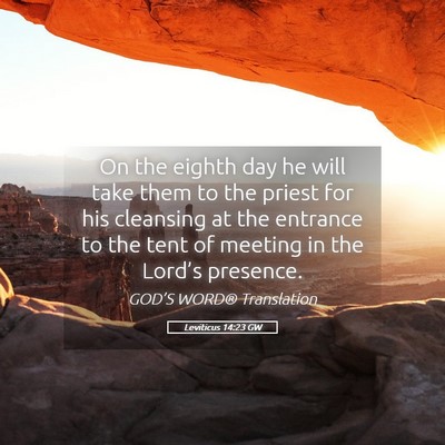 Picture 05 - Leviticus 14:23 GW - On the eighth day he will take them to the priest - Bible Verse Picture