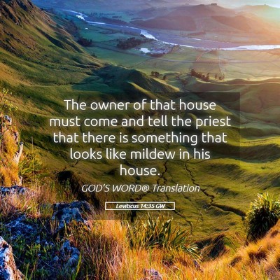 Picture 05 - Leviticus 14:35 GW - The owner of that house must come and tell the - Bible Verse Picture