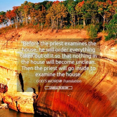 Picture 05 - Leviticus 14:36 GW - “Before the priest examines the house, he will - Bible Verse Picture