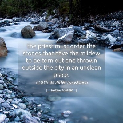 Picture 05 - Leviticus 14:40 GW - the priest must order the stones that have the - Bible Verse Picture